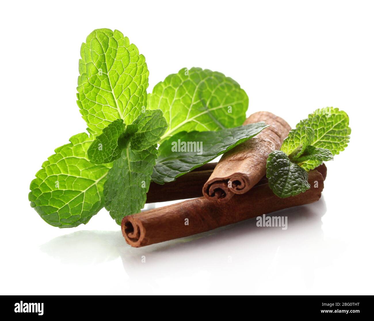 Mint with cinnamon isolated on white Stock Photo - Alamy