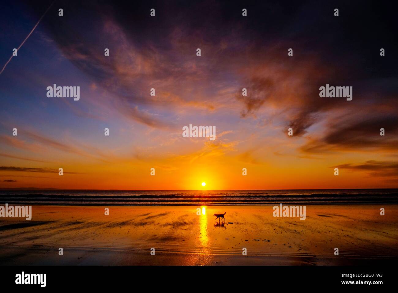 Sunset taken on dog walks in the south Wales coastal town of Porthcawl Stock Photo