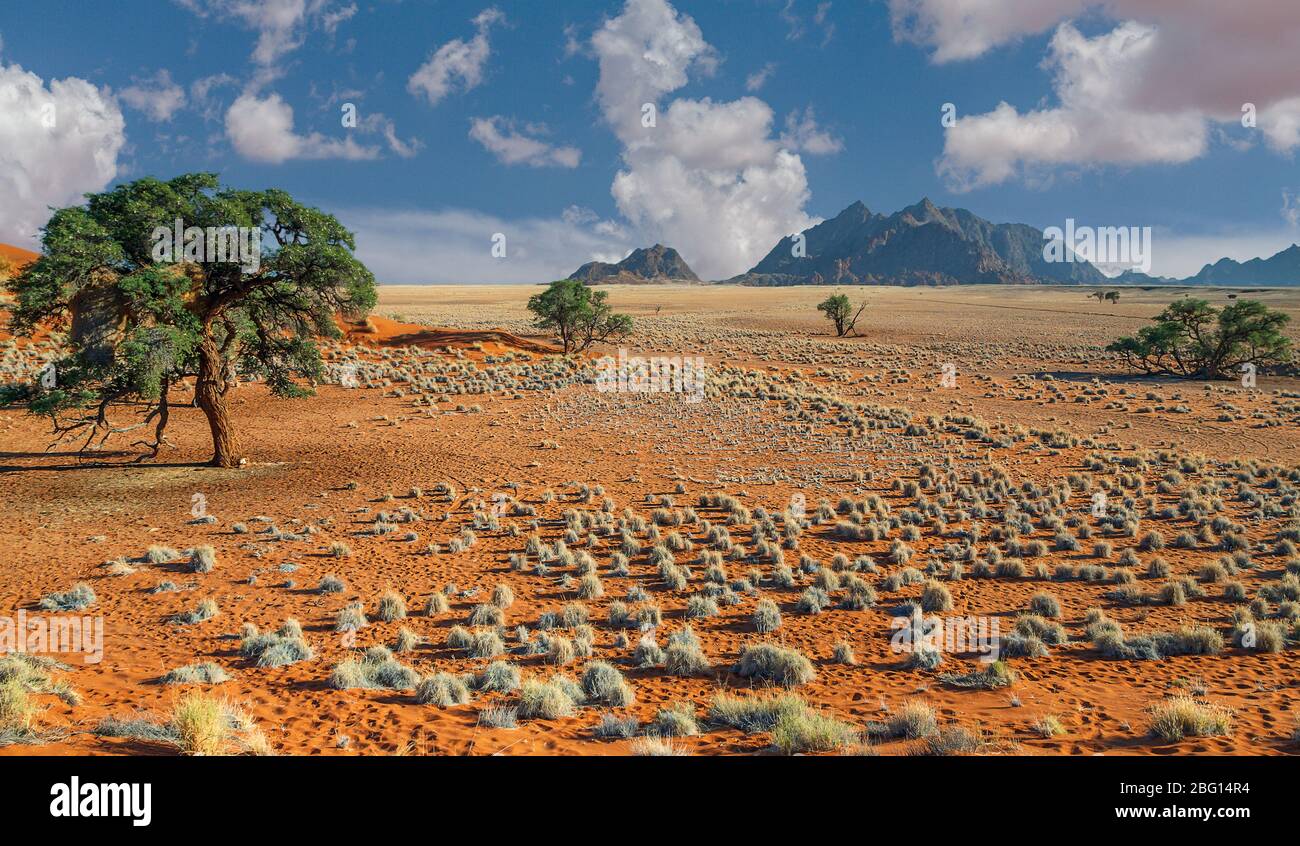 Nature scenic beauty of the tranquil desert area with distant mountains in the Sossousvlei  area of the Namibrand in Namibia Stock Photo