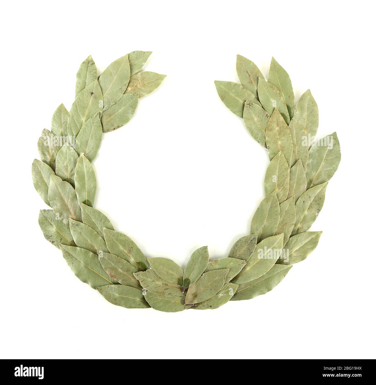 Laurel wreath isolated on white Stock Photo - Alamy