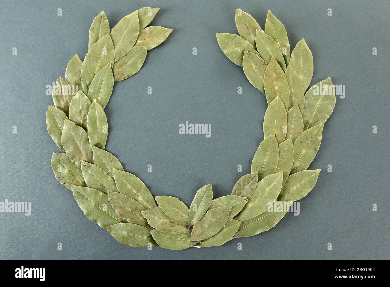 Laurel wreath on grey background Stock Photo - Alamy