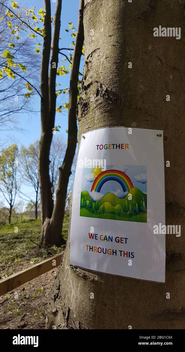 Temple Newsam, Leeds. A tree with poster, flyer with a rainbow and words 'Together we can get through this'. Public foothpath. UK Stock Photo