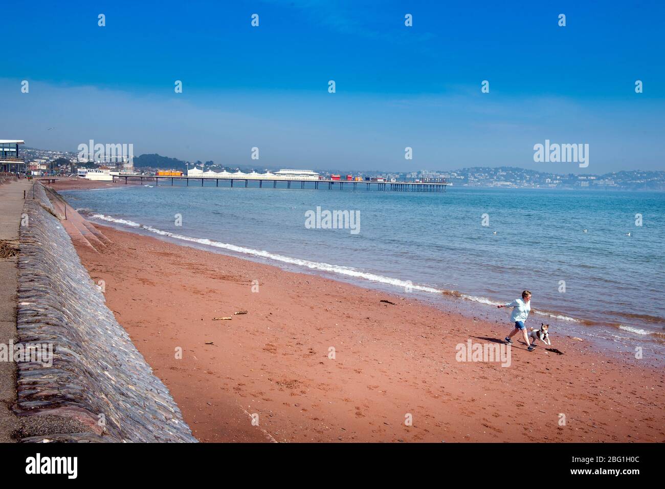 A woman plays with her dog on the near deserted beach at Paignton during the Coronavirus lockdown, UK Stock Photo