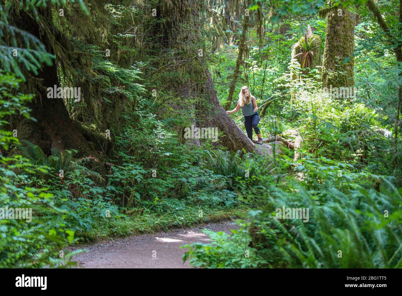 Hall of mosses olympic national park