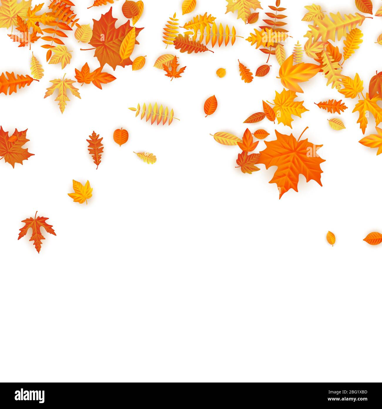 Autumn background with golden maple, oak and others leaves. EPS 10 ...