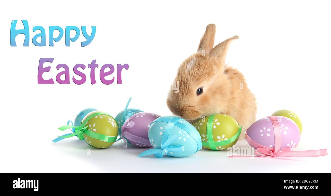 Fluffy foxy rabbit with Easter eggs isolated on white Stock Photo