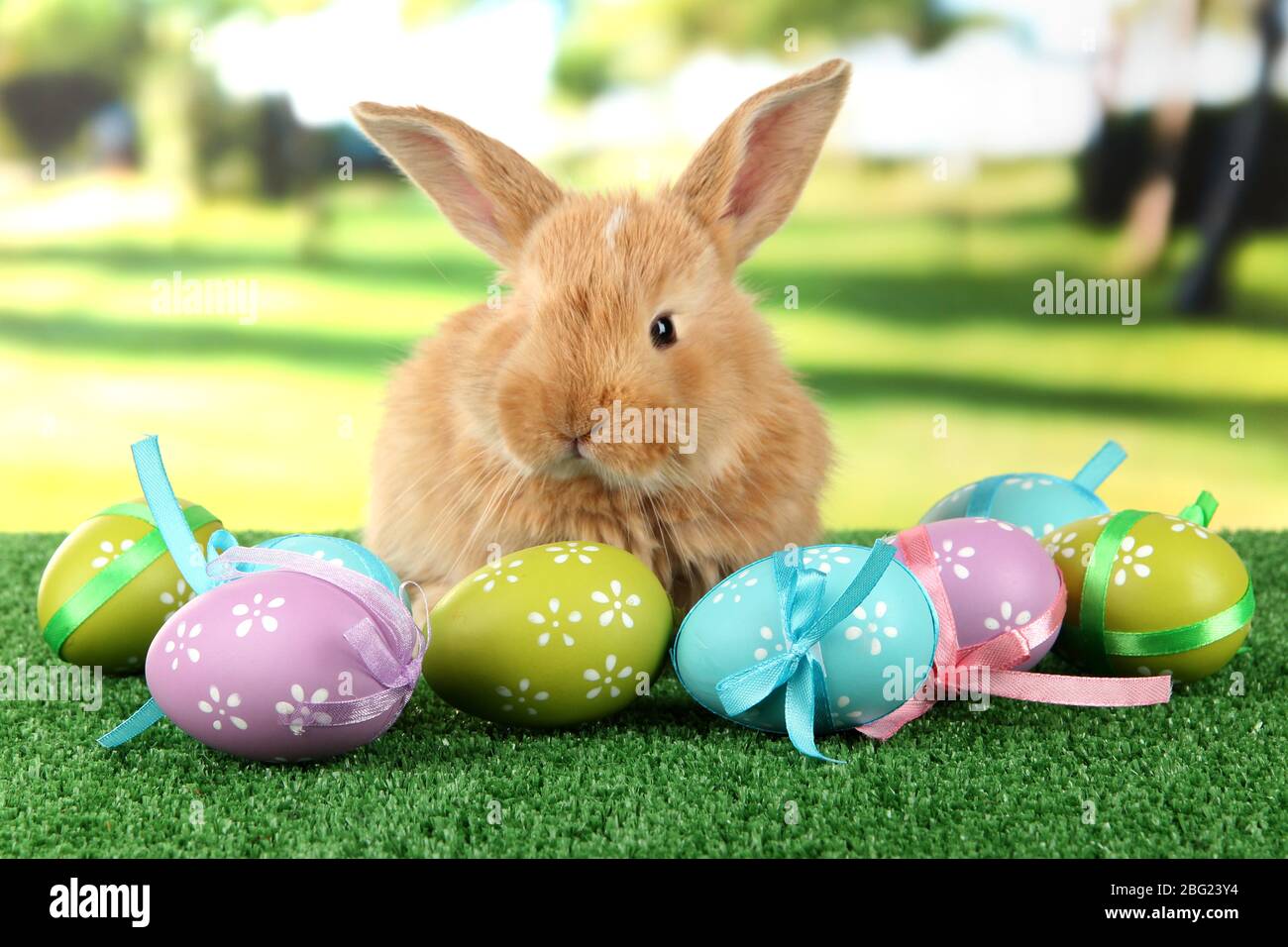 Fluffy foxy rabbit on grass with Easter eggs in park Stock Photo