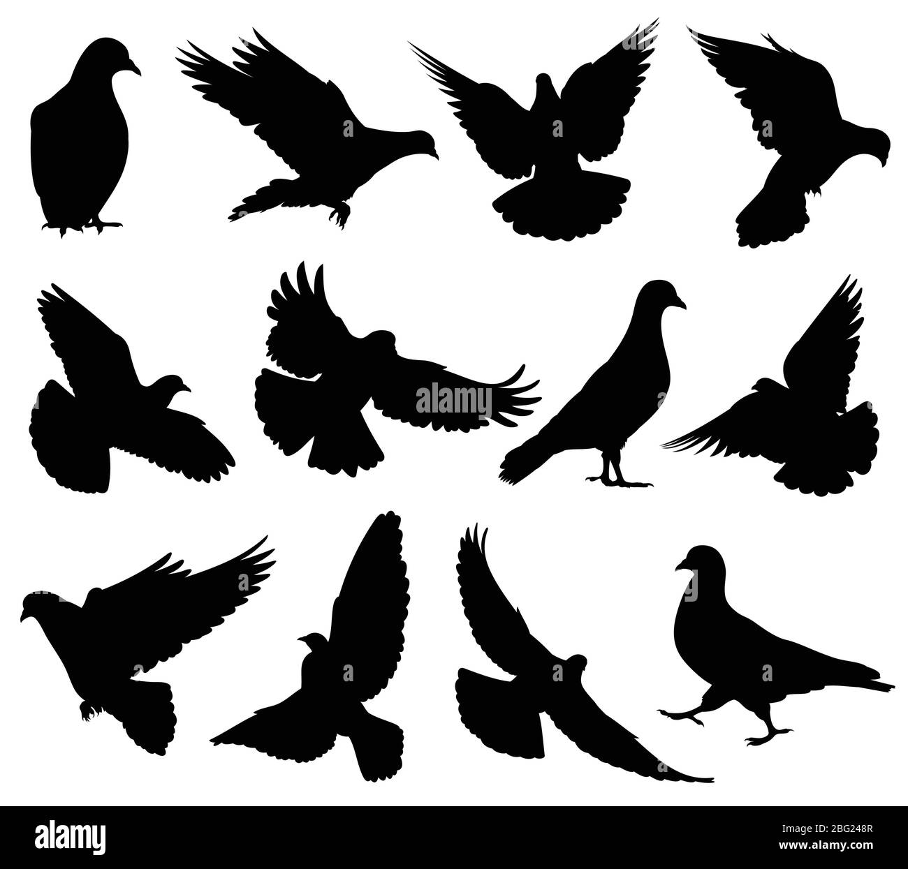 Flying dove vector silhouettes isolated. Pigeons set love and peace symbols. Black shape form dove and pigeon silhouette illustration Stock Vector
