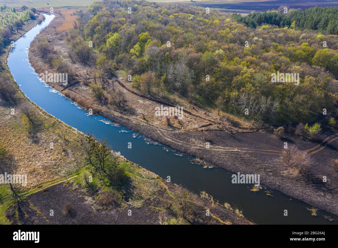 Aerial view scorched earth and tree trunks after a spring fire in ...