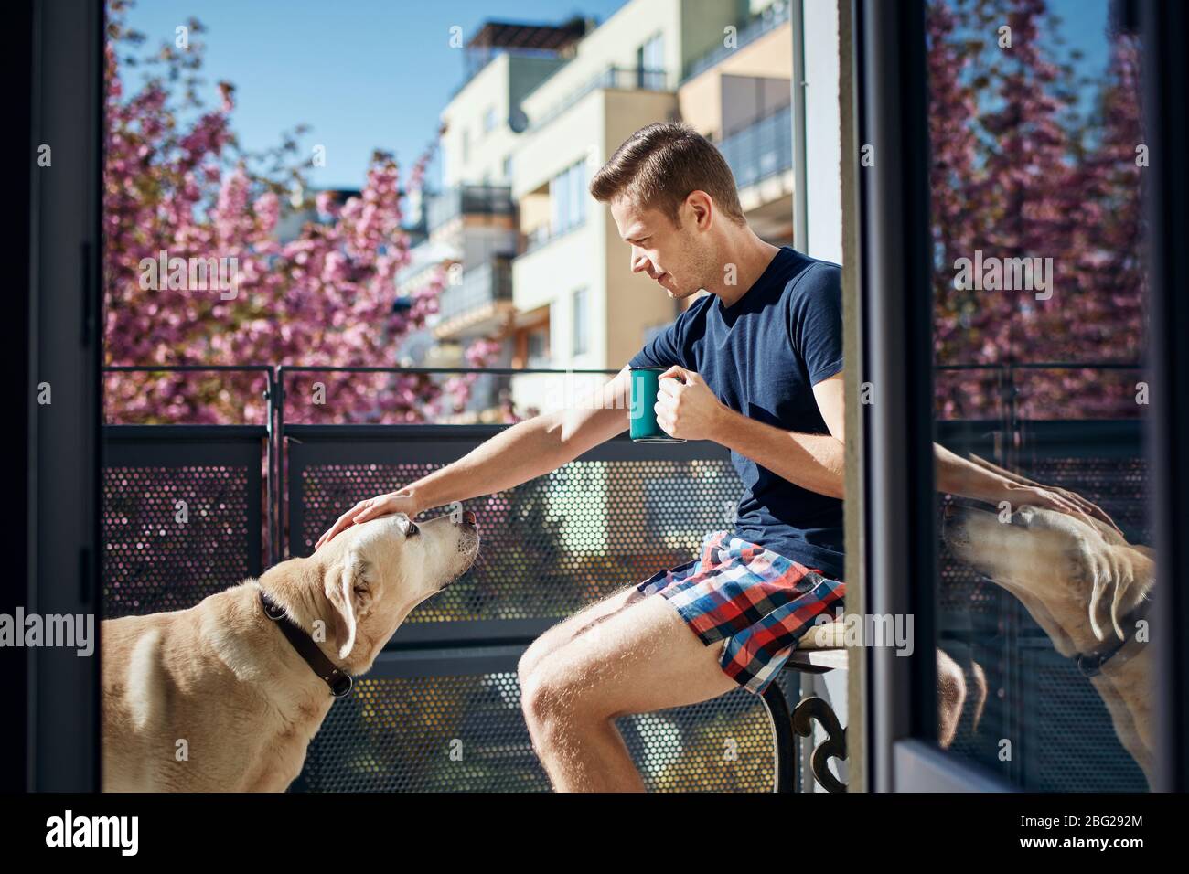 Spring morning at home. Young man stroking his labrador retriever on balcony. Stock Photo