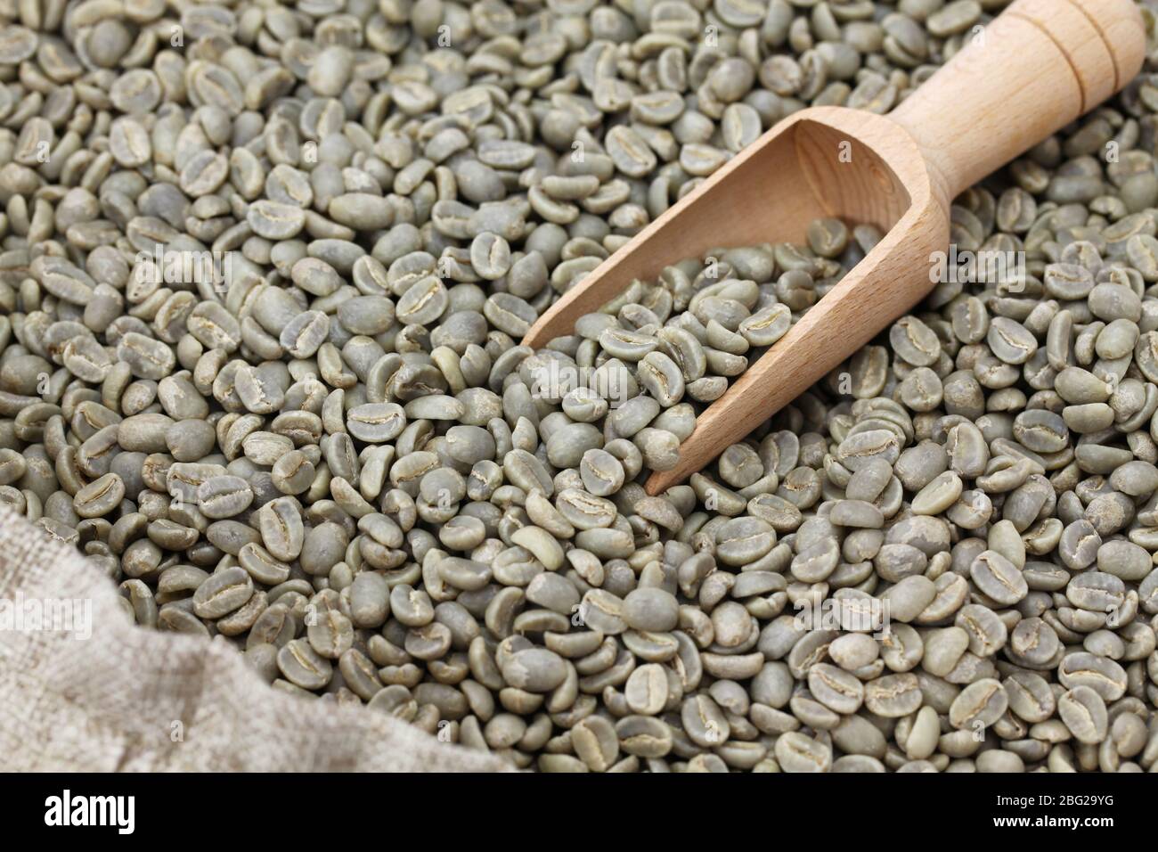 green unroasted coffee beans in burlap sack Stock Photo