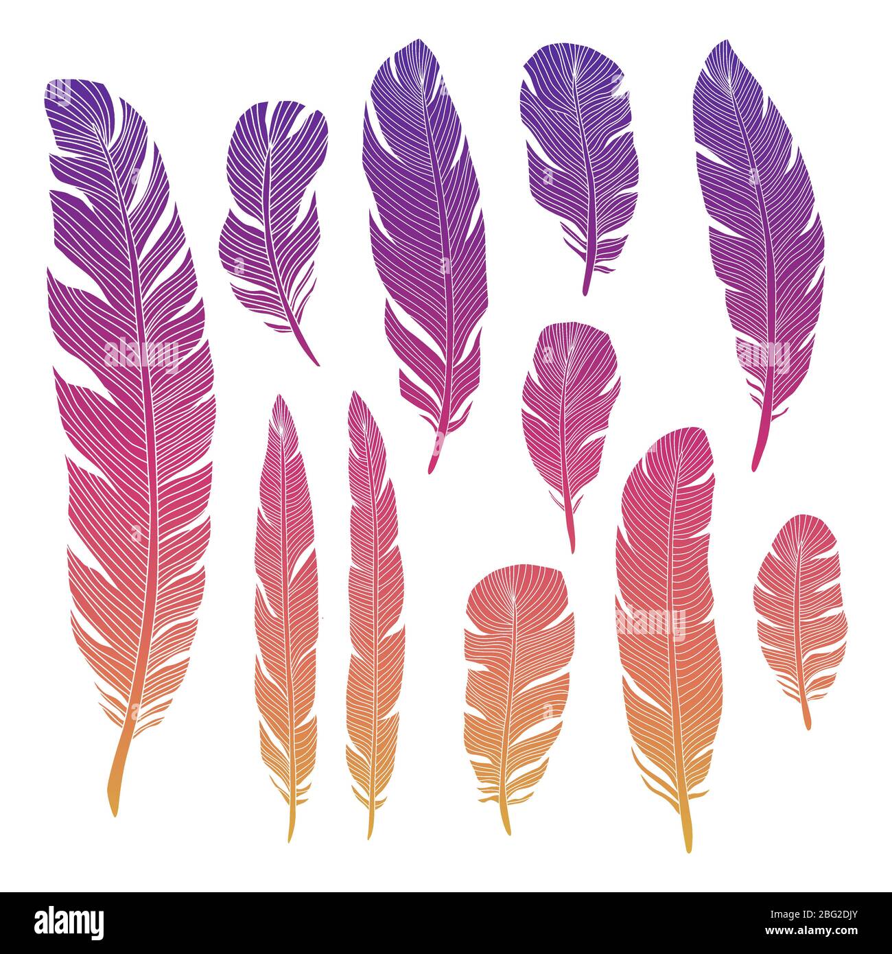 Colorful birds feathers of set isolated on white backgrond. Vector illustration Stock Vector