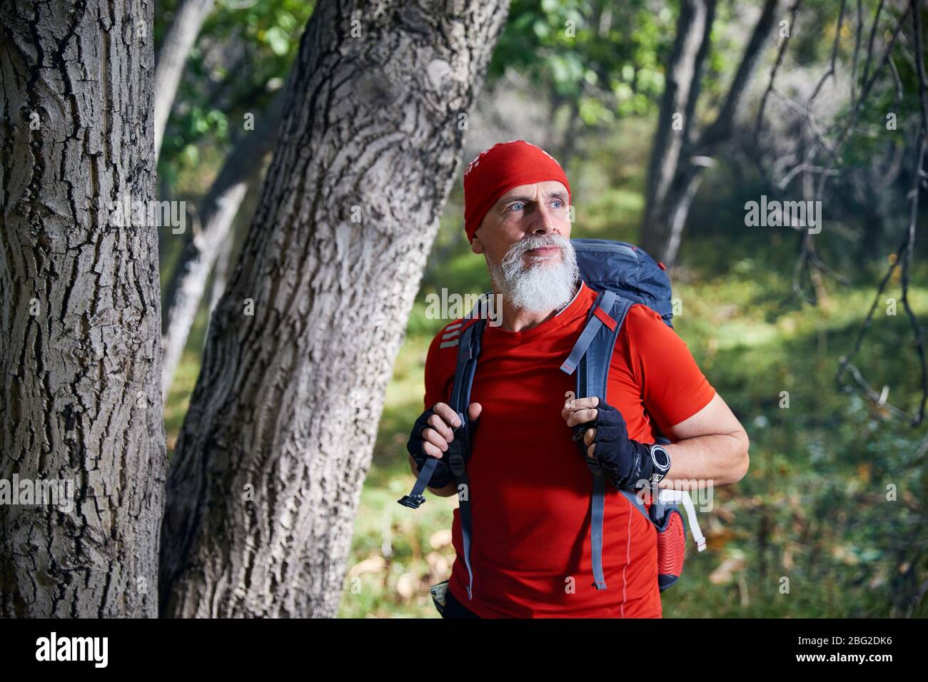 Old man with white beard hi-res stock photography and images - Alamy