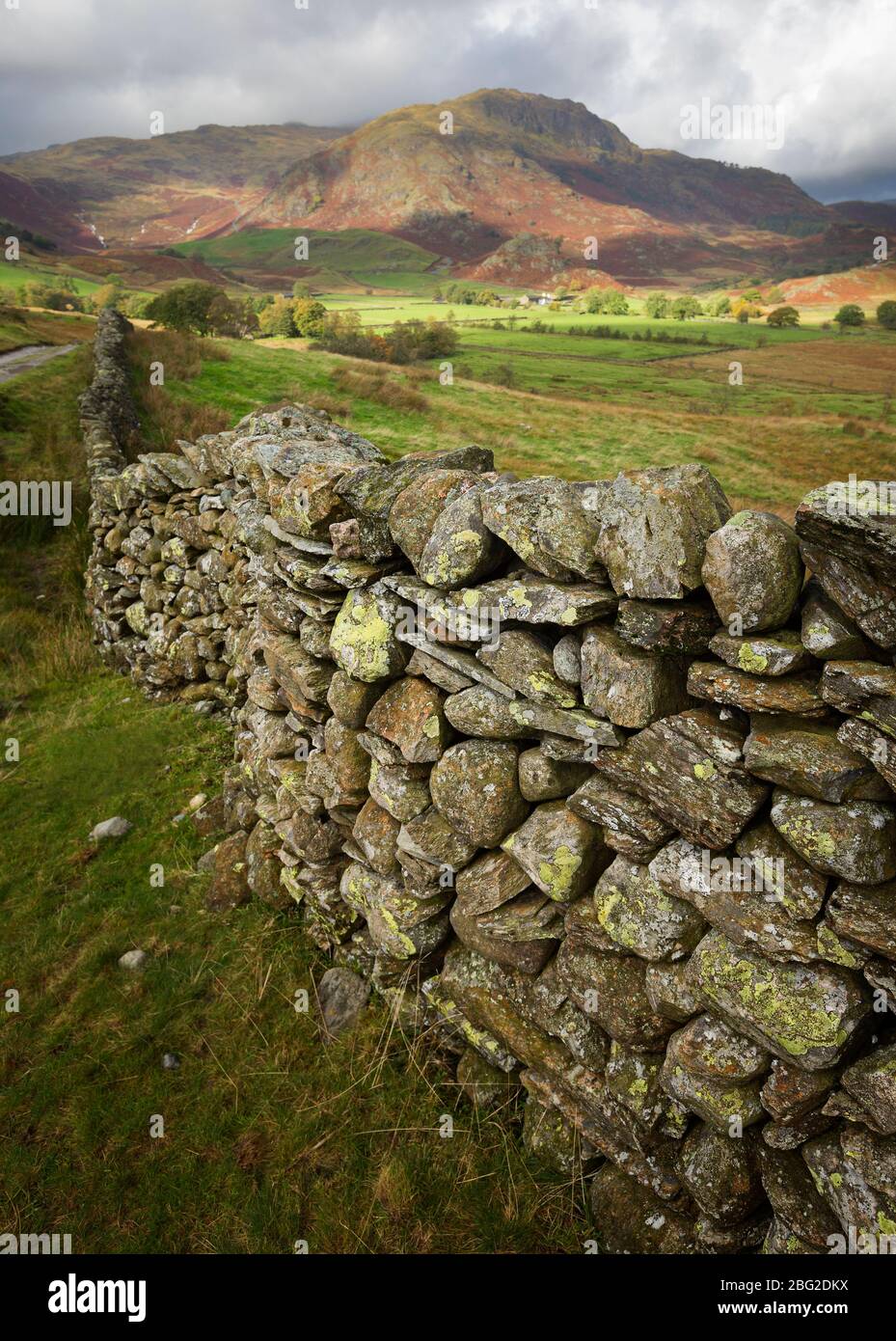 Close up of an old, lichen-covered, stone wall in Little Langdale in the Lake District, Cumbria, UK Stock Photo