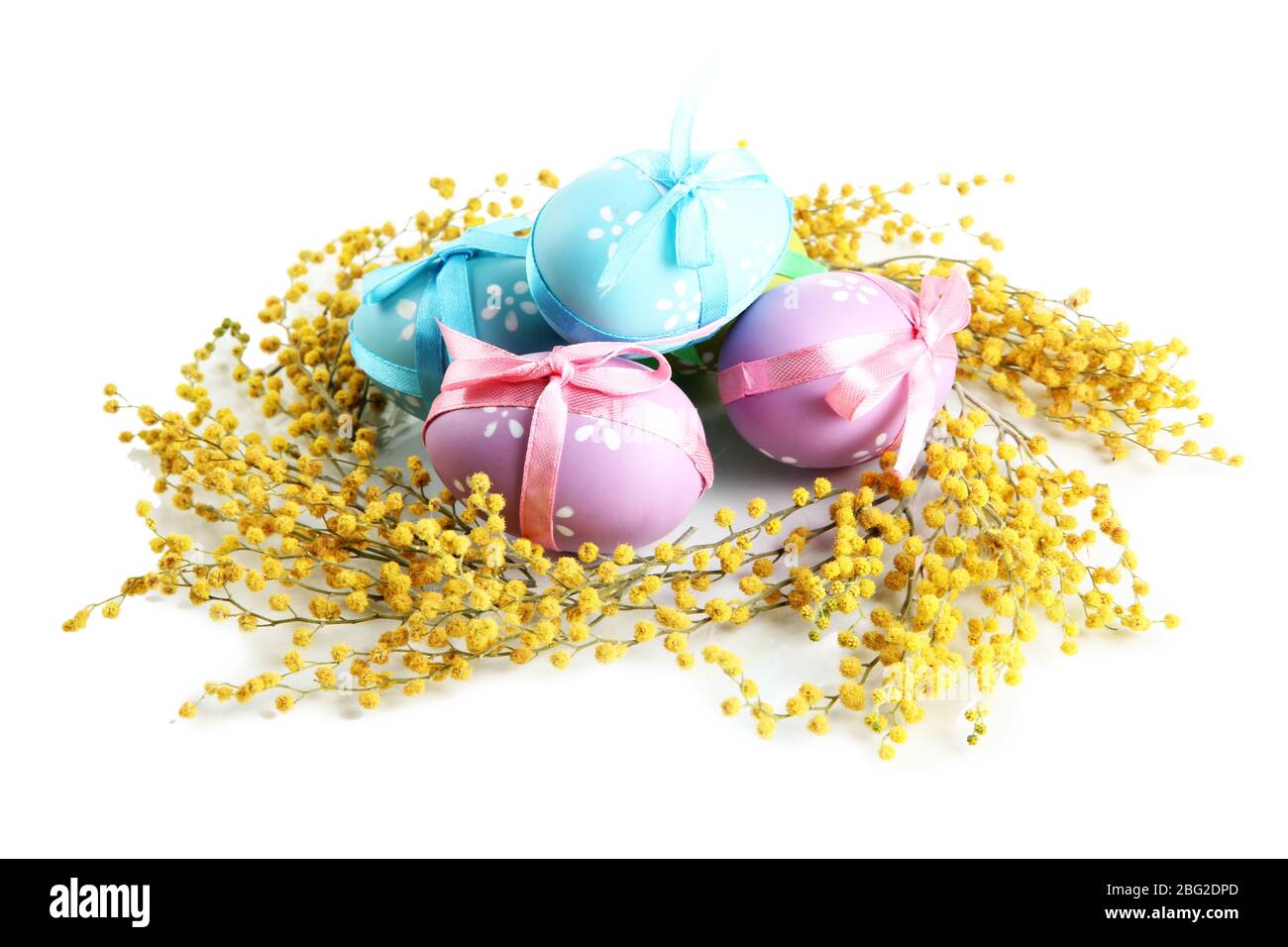 Easter eggs and mimosa flowers, isolated on white Stock Photo Alamy