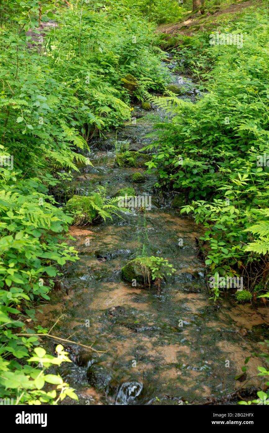 Stream flows through small hi-res stock photography and images - Alamy
