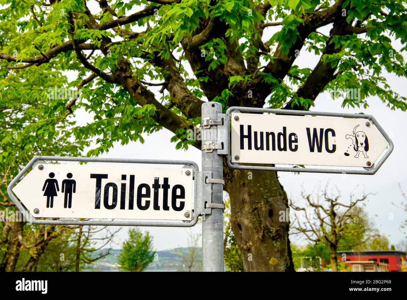 Roadsign showing toilets for peple and dogs. Sempach, Canton Lucerne, Switzerland. Stock Photo