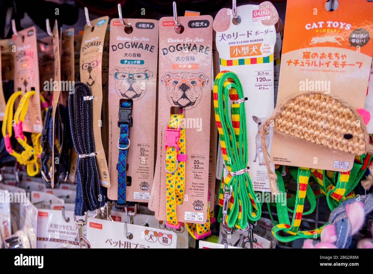 Daiso dog toys sales