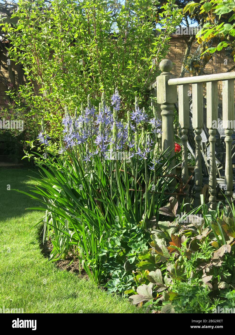 Perennials border hi-res stock photography and images - Alamy