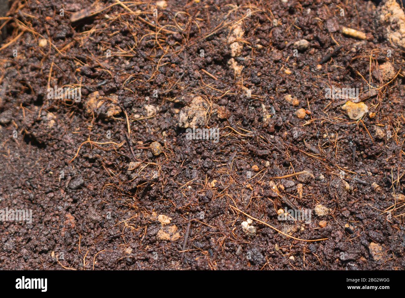 Black moist soil lots of humus Stock Photo Alamy