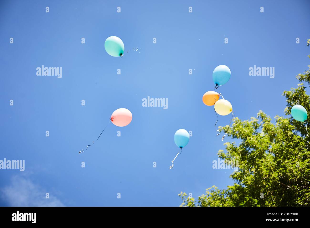 balloons fly away on a background of blue sky Stock Photo Alamy