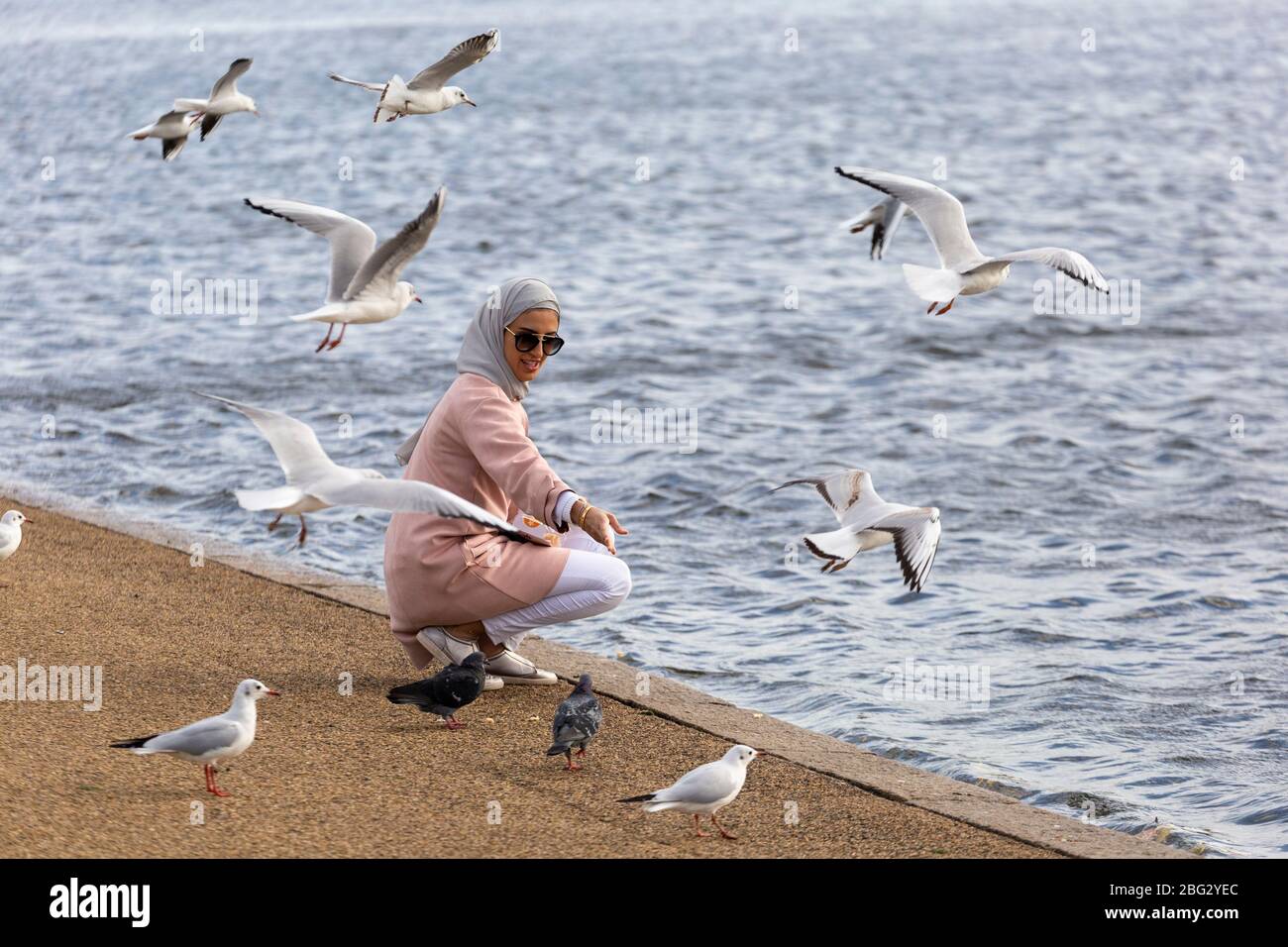 A muslim women wearing a headscarf feeding seagulls beside a lake (The Serpentine) in Hyde Park, London Stock Photo