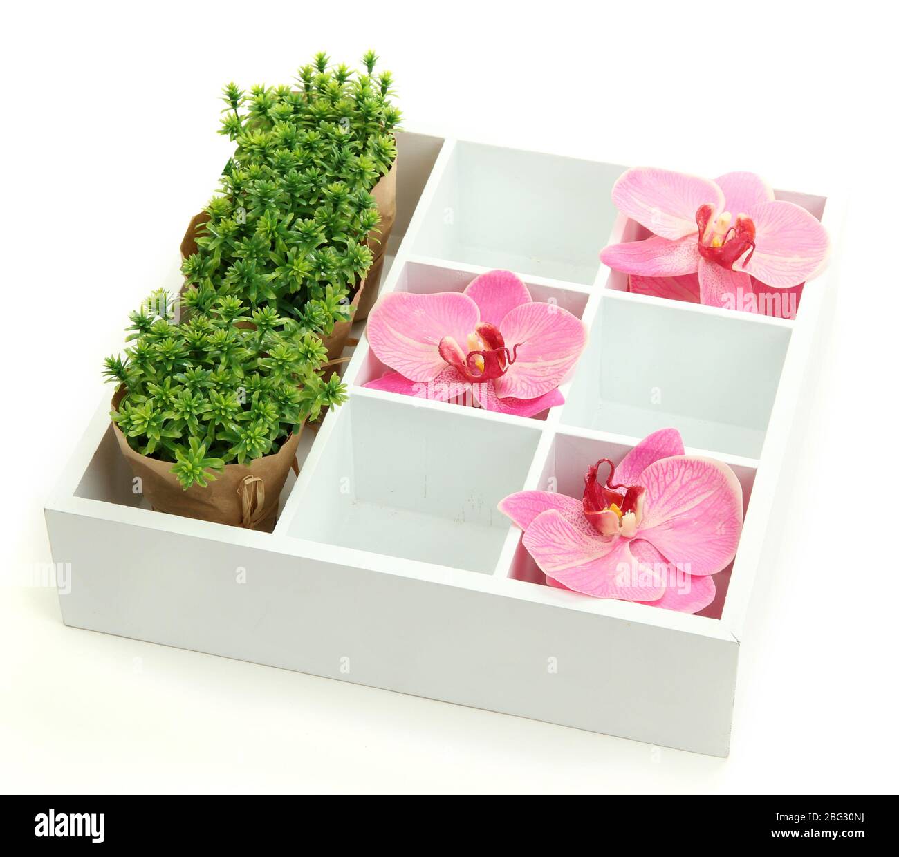 Beautiful flowers arranged in wooden box isolated on white Stock Photo