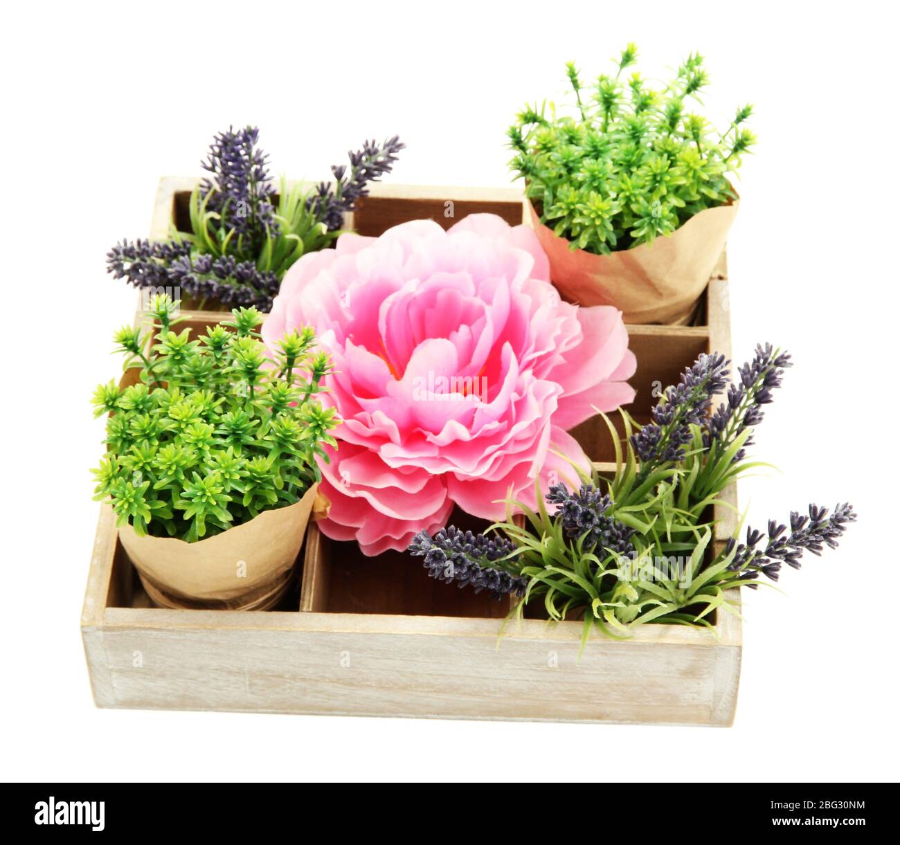 Beautiful flowers arranged in wooden box isolated on white Stock Photo