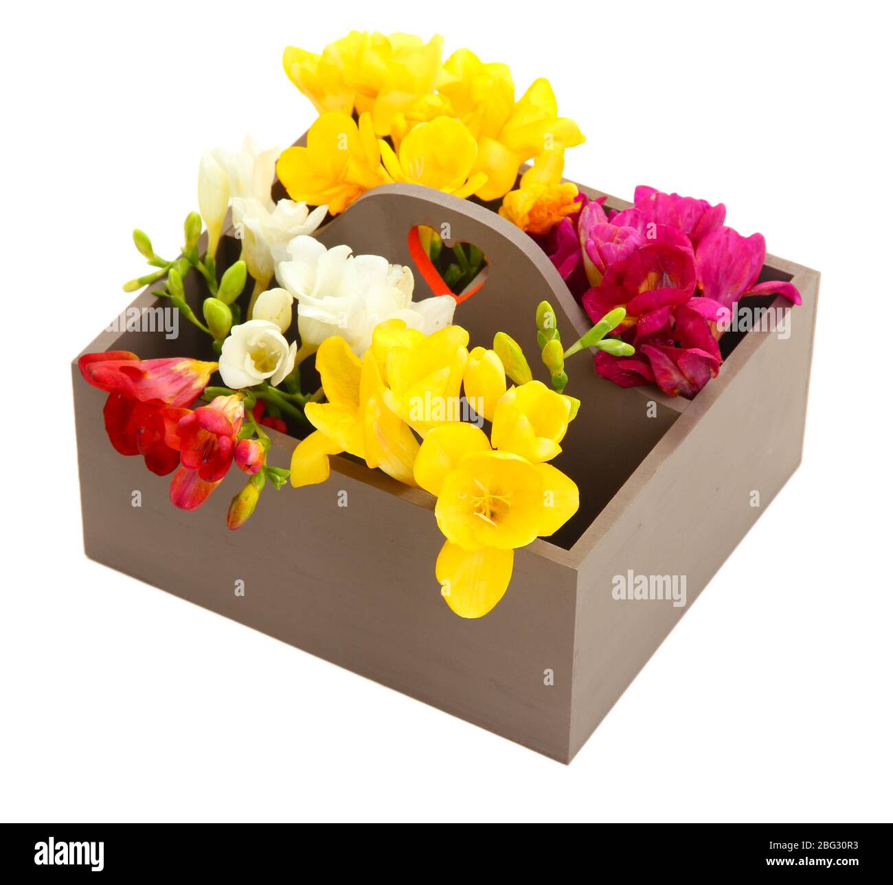 Beautiful flowers arranged in wooden box isolated on white Stock Photo