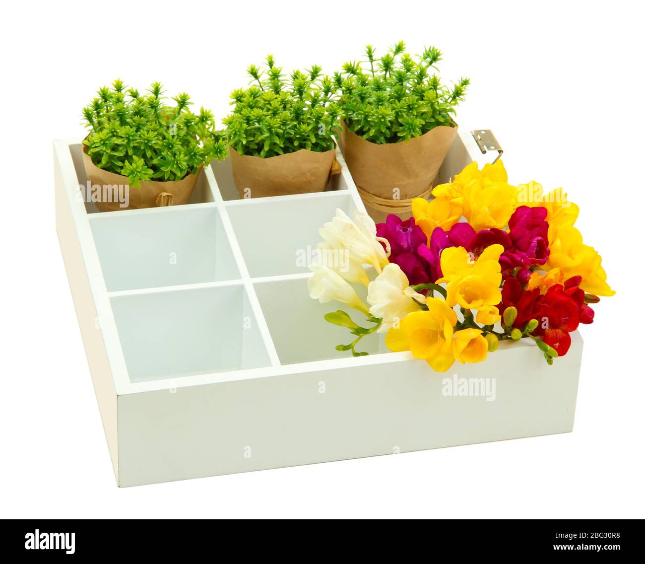 Beautiful flowers arranged in wooden box isolated on white Stock Photo