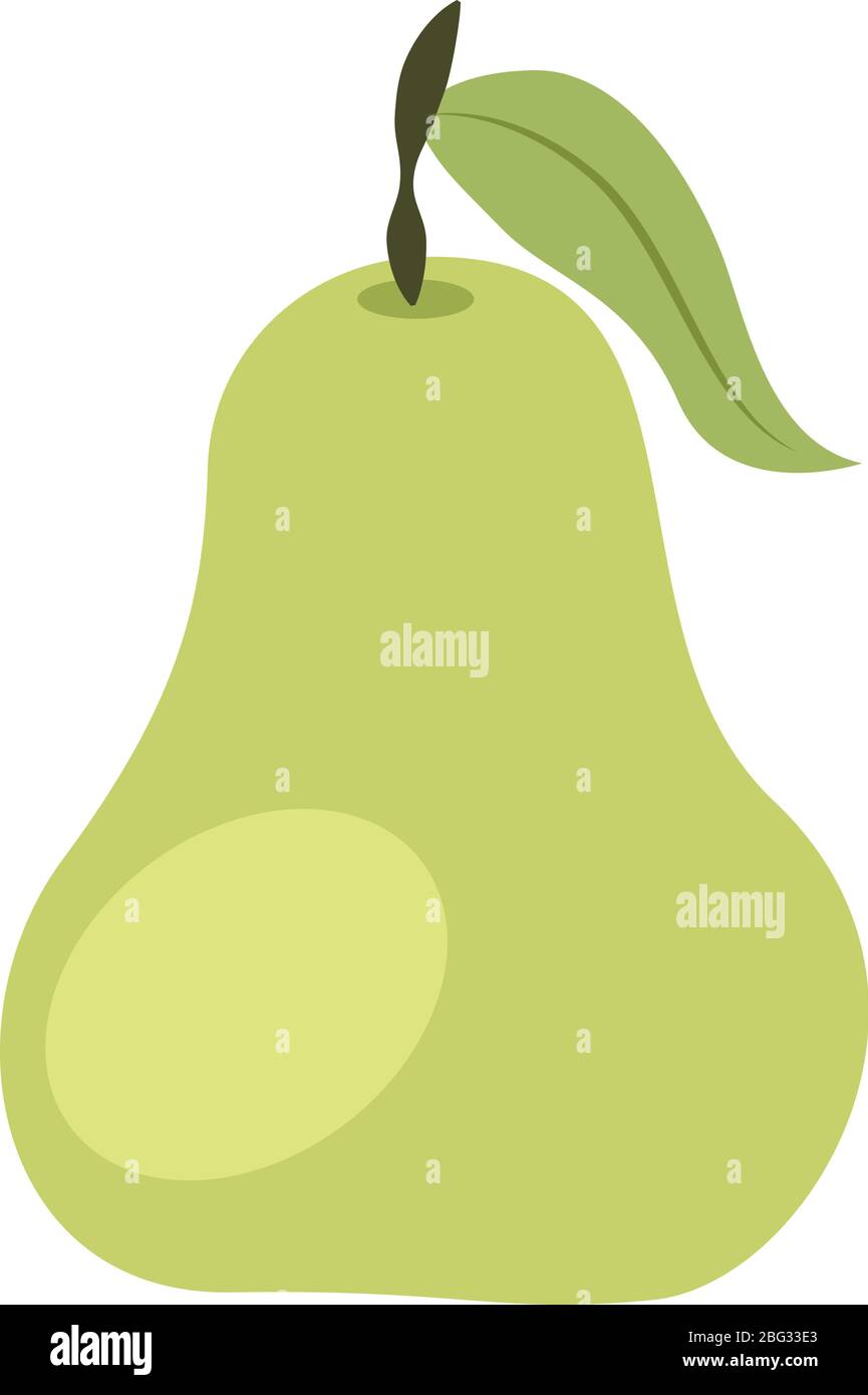 Green pear illustration, vector on white background Stock Vector Image ...