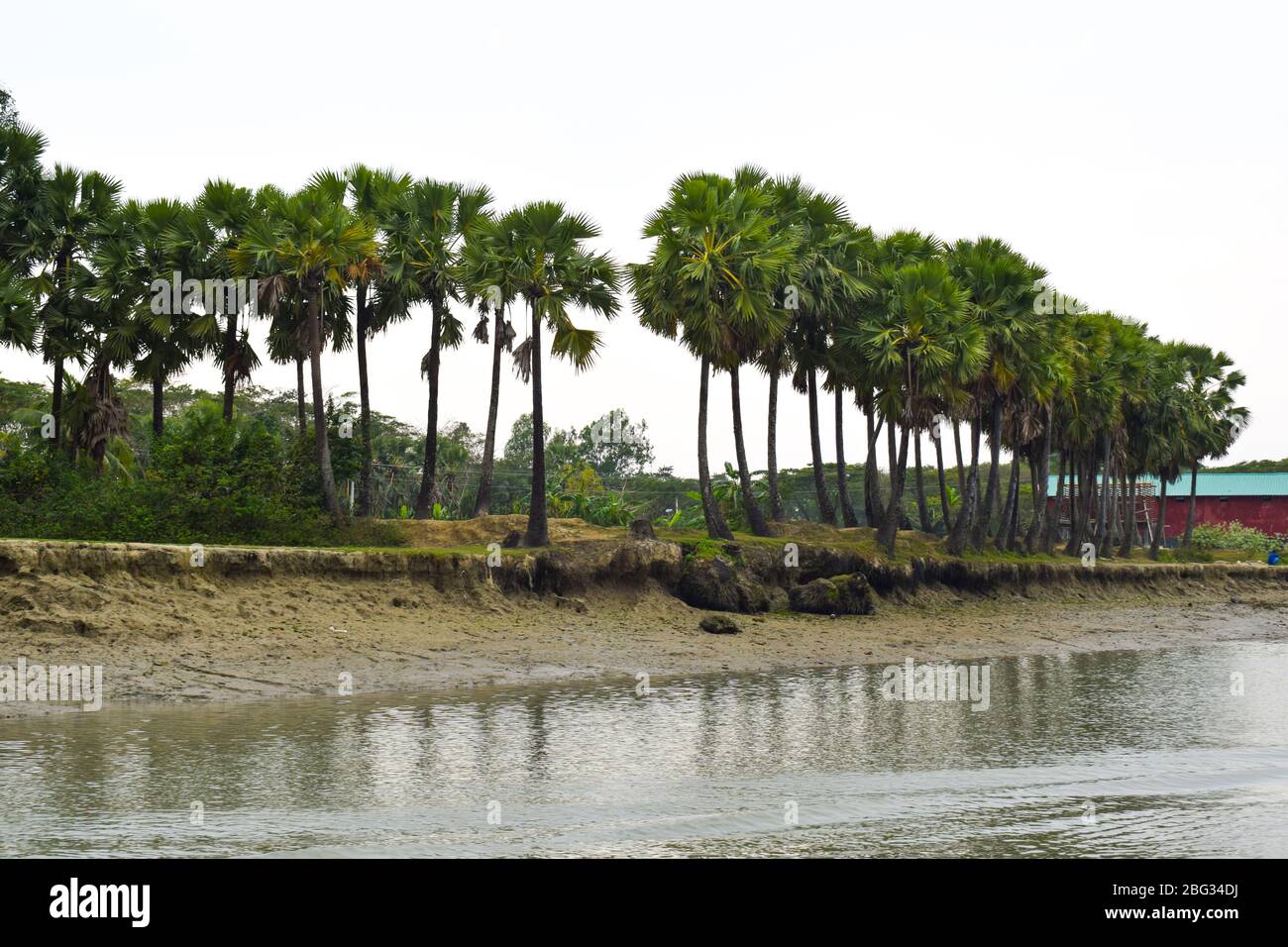 Photograph of a beautiful river side bank with various types of green