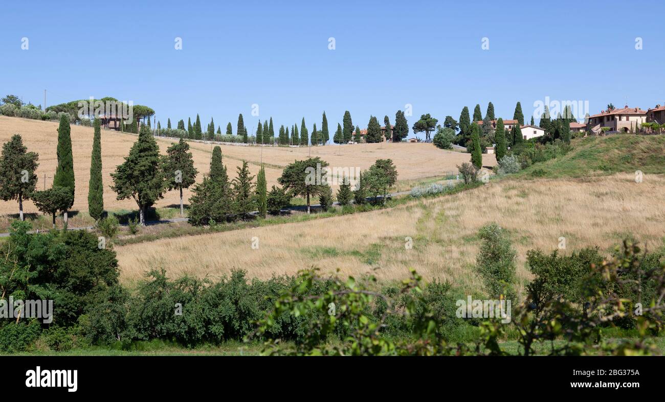 The countryside in the vicinity of Montepulciano (Tuscany - Italy). La campagne aux environs de Montepulciano (Toscane - Italie). Stock Photo