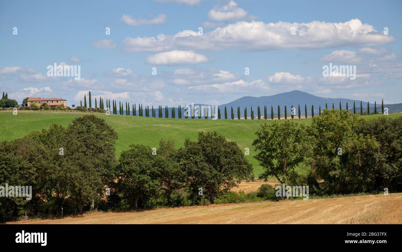 In the vicinity of the Bagno Vignoni (Tuscany - Italy), a perfect alignment of cypresses leading to a private property. A proximité du Bain Vignoni. Stock Photo
