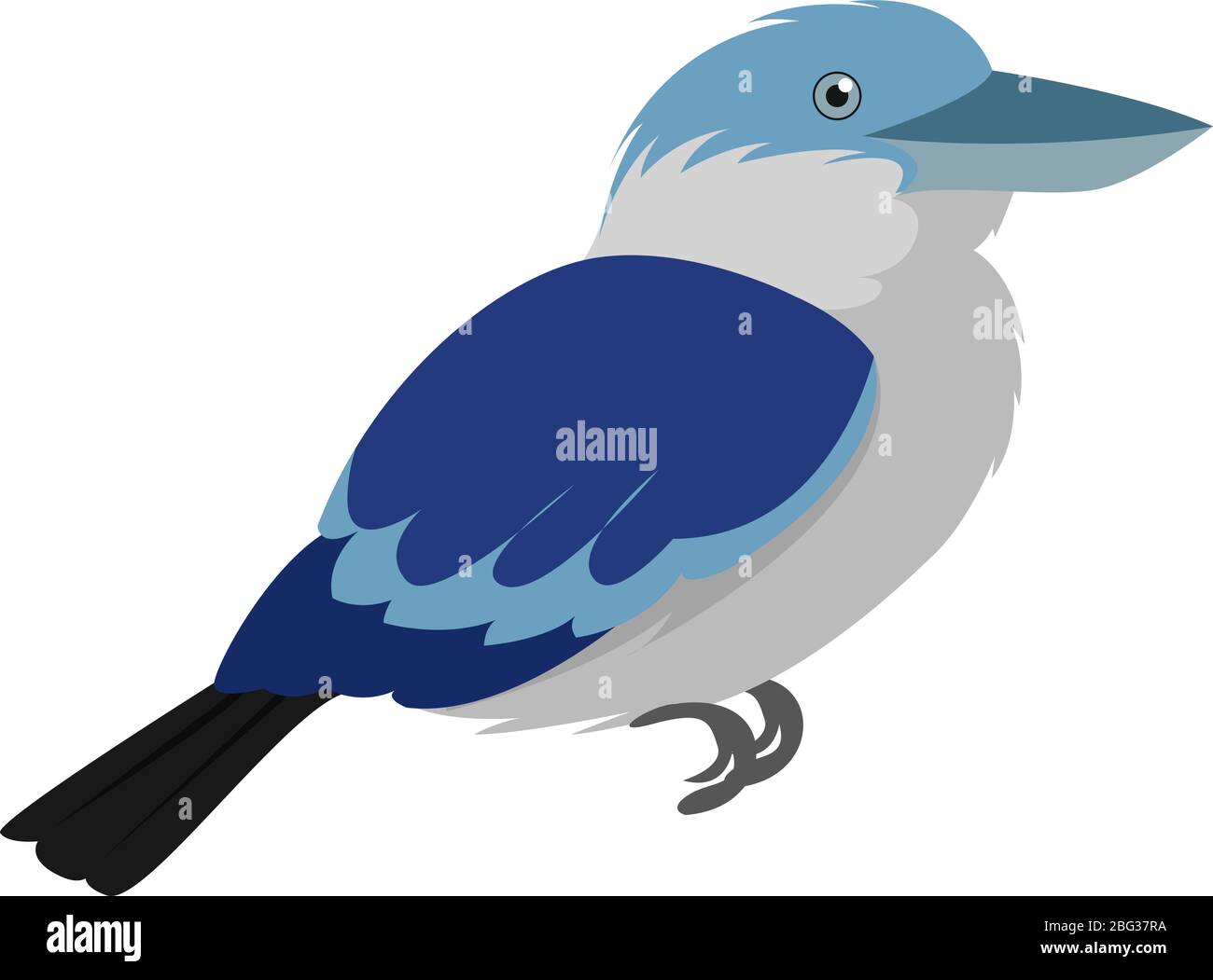 Kookaburra bird, illustration, vector on white background Stock Vector