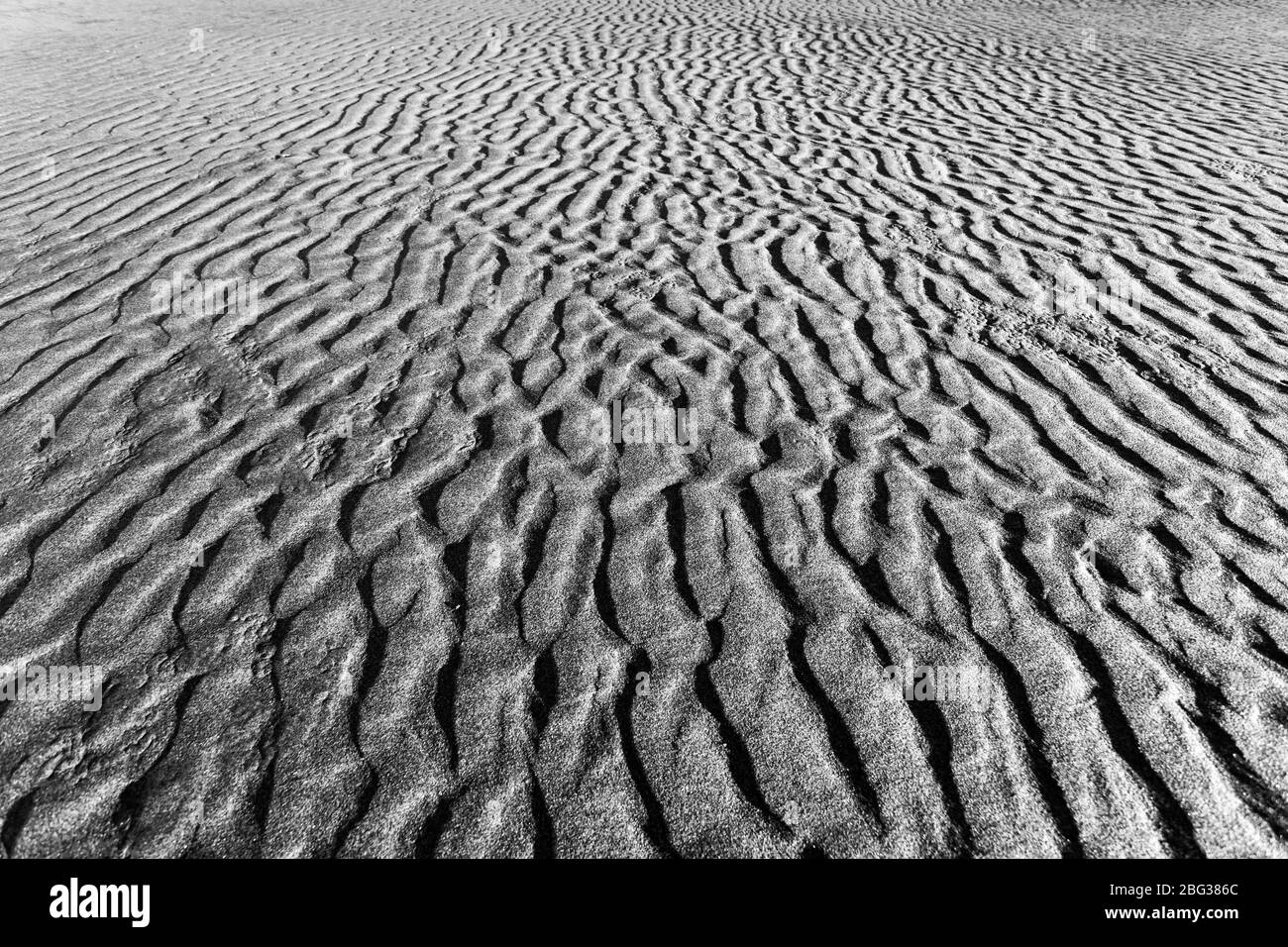 The natural movement of waves and wind formed patterns in the flat beach sand on the Washington State coast. Stock Photo