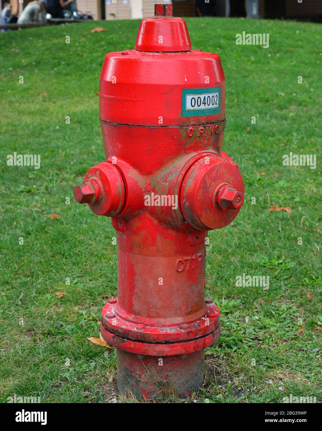 A bright red fire hydrant in Stanley Park, Vancouver, British Columbia ...