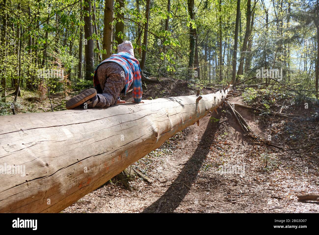 Rear view of 4 year old caucasian child girl crawling over the tree trunk of fallen tree in a bright and sunny springtime forest at the Schmausenbuck Stock Photo