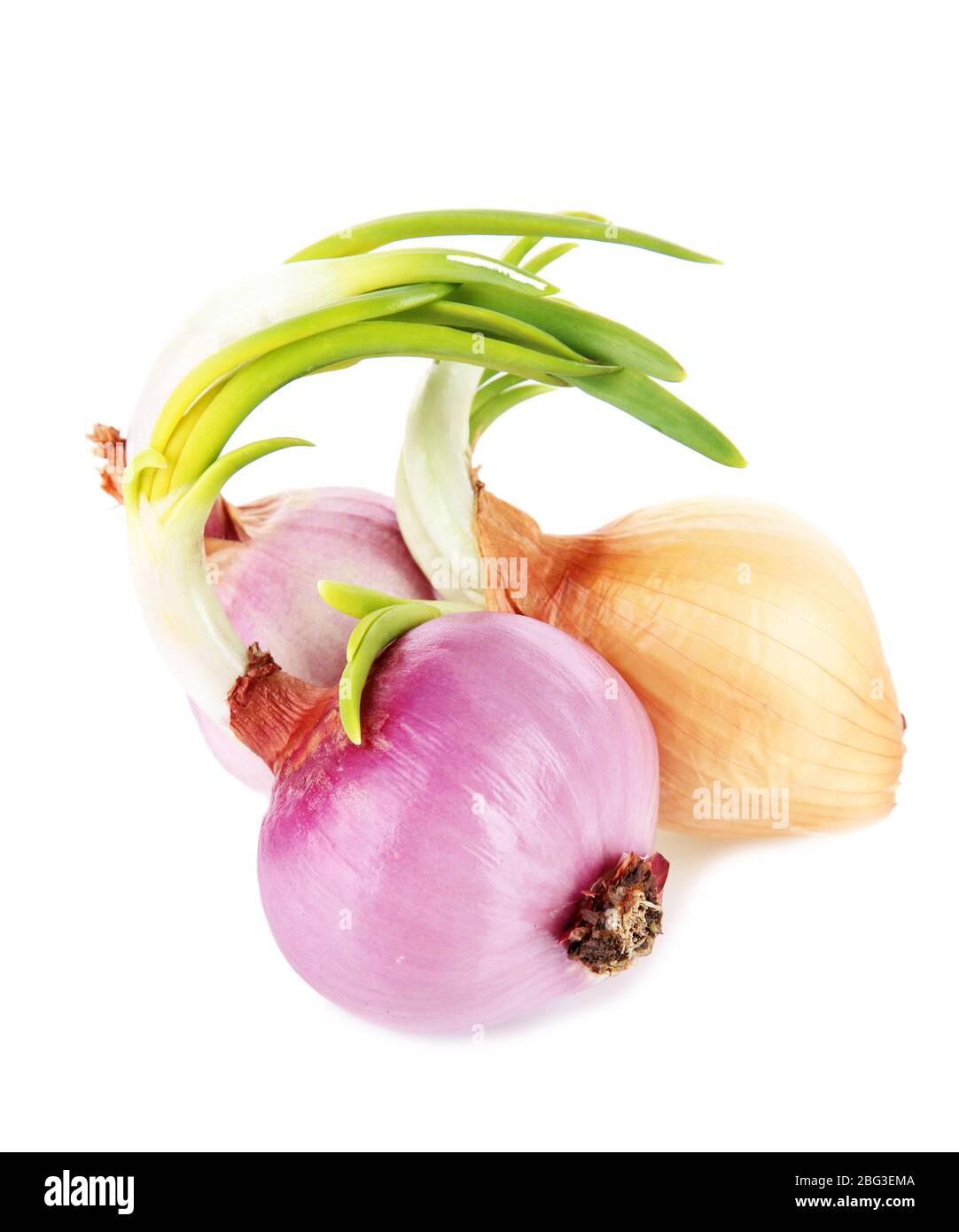 Onion sprouting on old hi-res stock photography and images - Alamy