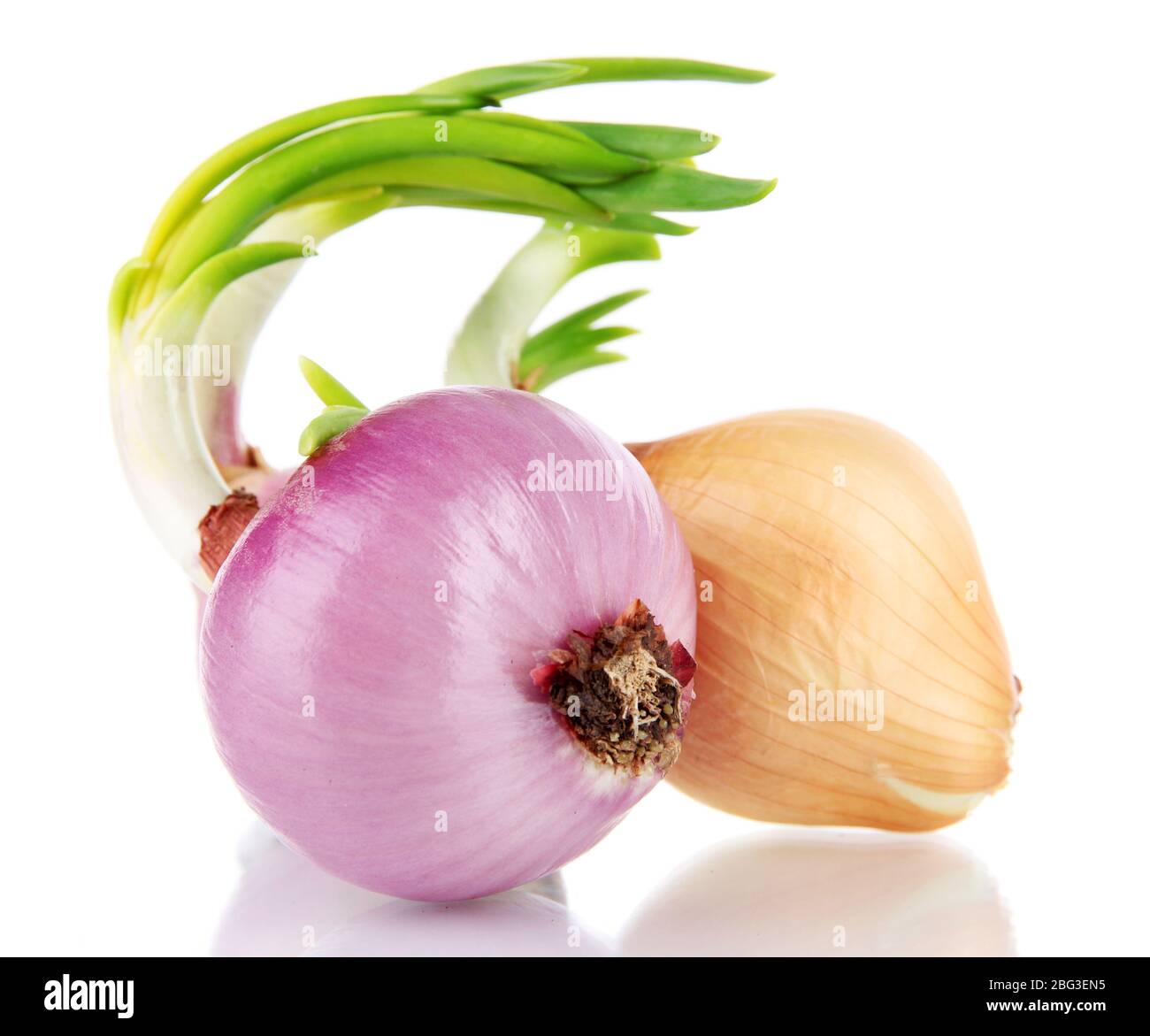 Sprouting onions isolated on white Stock Photo
