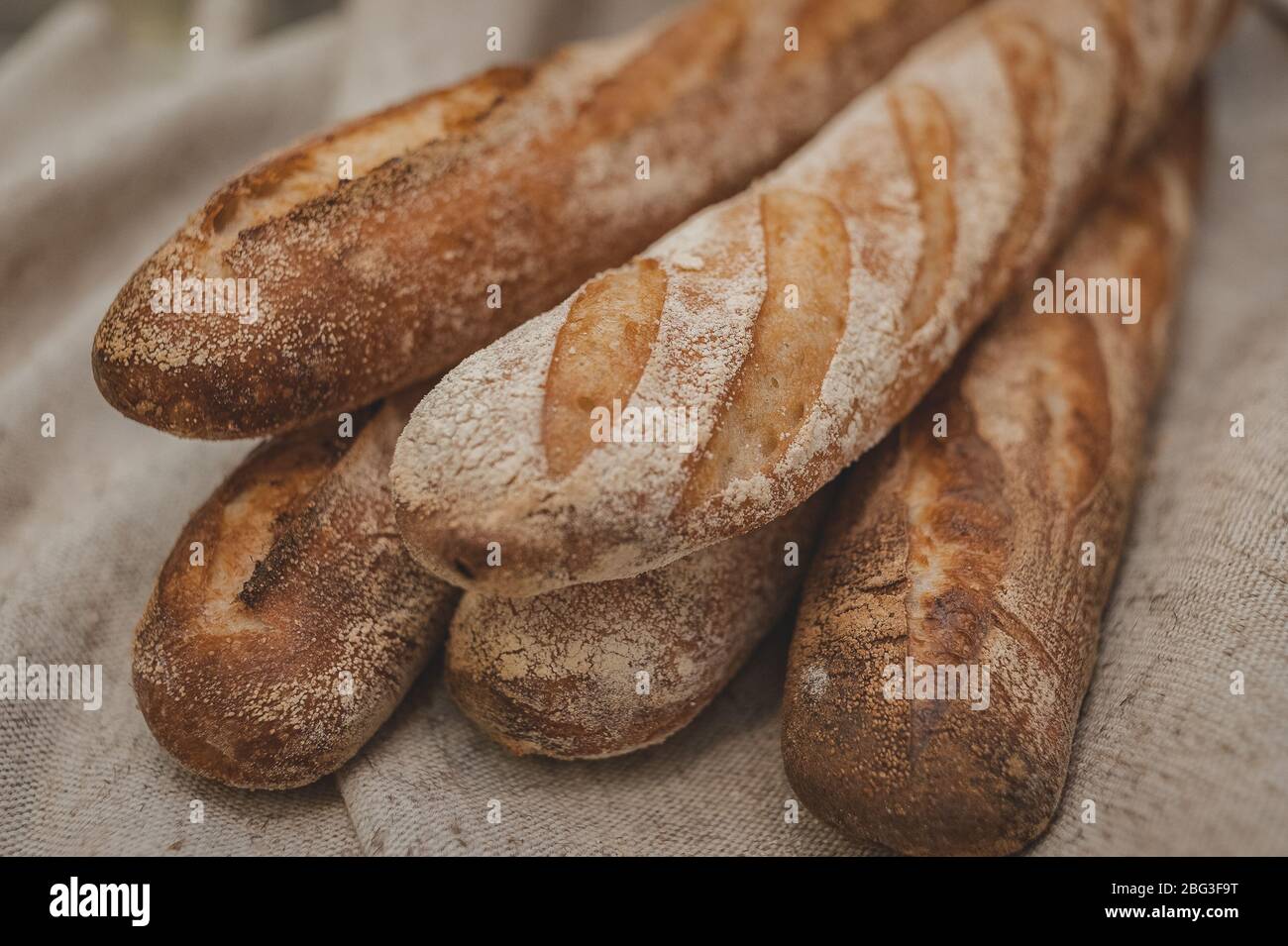 Buckwheat baguettes in baker's hands. Gluten free. Soft focus Stock Photo Alamy