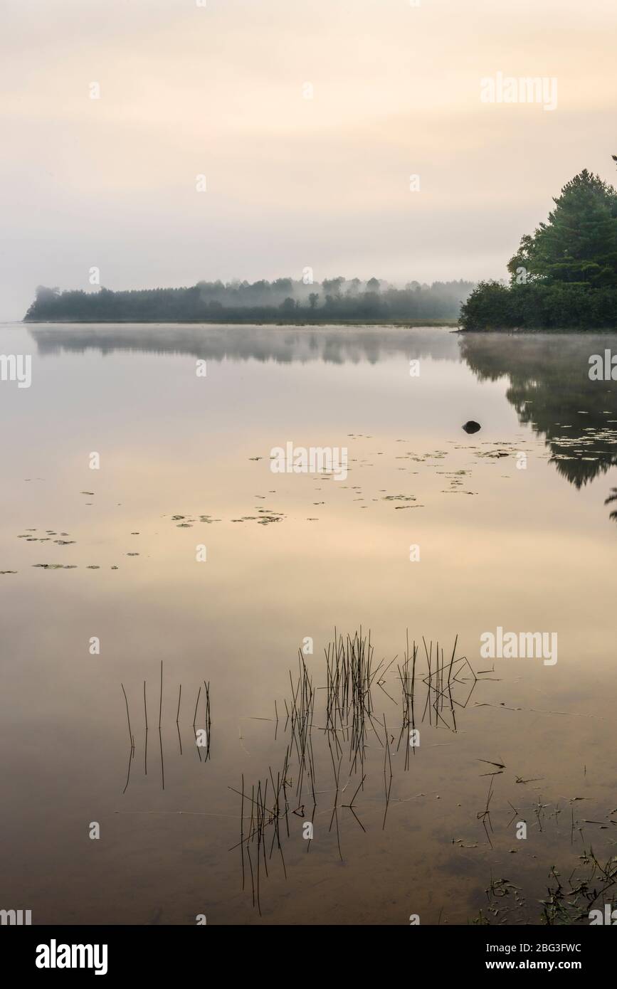Lake Traverse at dawn, Algonquin Provincial Park, Nipissing Township