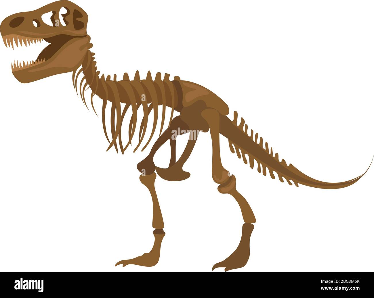Dinosaur skeleton, illustration, vector on white background Stock Vector
