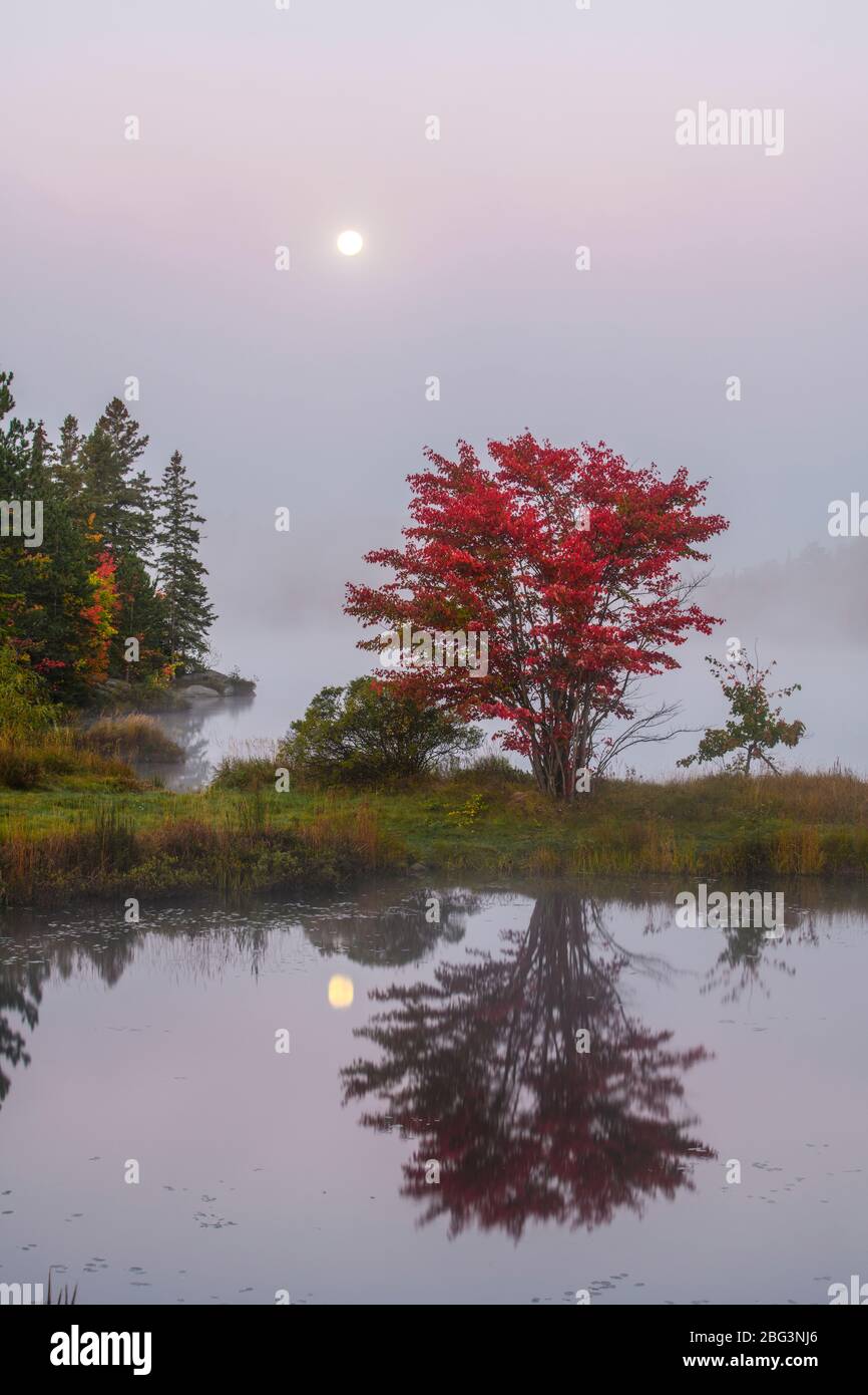 Autumn reflections and setting moon in St. Pothier Lake at dawn, Greater Sudbury, Ontario, Canada Stock Photo