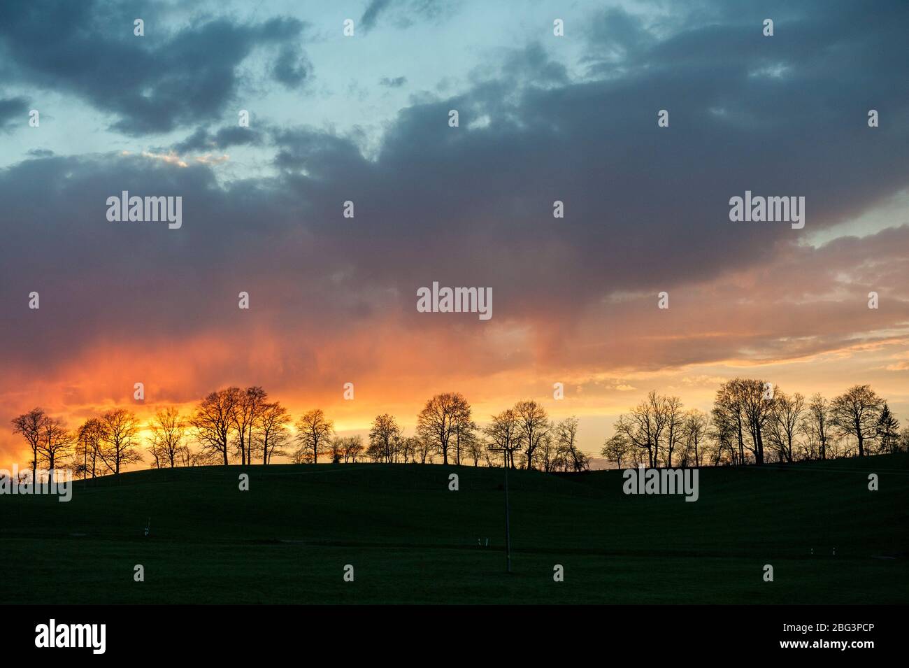 Bavarian Landscape with Line of Trees Stock Photo