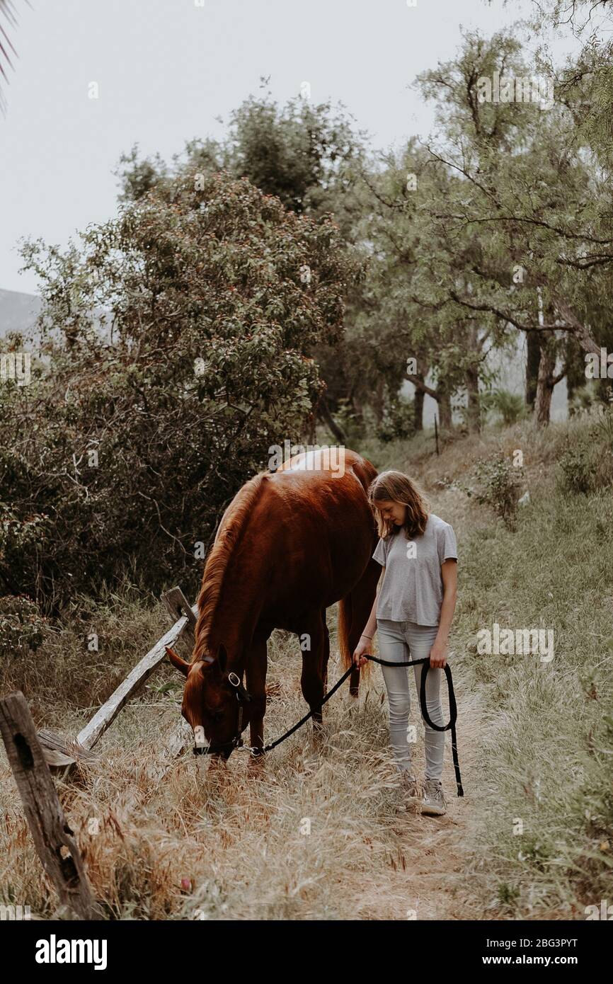 Girl standing next to a grazing horse, California, USA Stock Photo