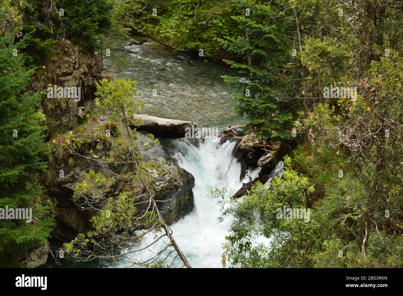 Patagonian Stream Stock Photo