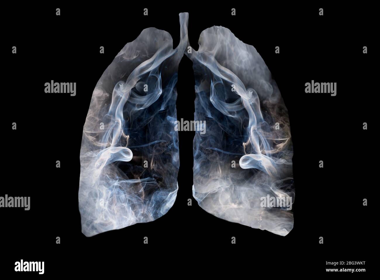 Illustration of a toxic smoke formation shaped as the human lung, The concept of cigarette smoker lungs on black background Stock Photo
