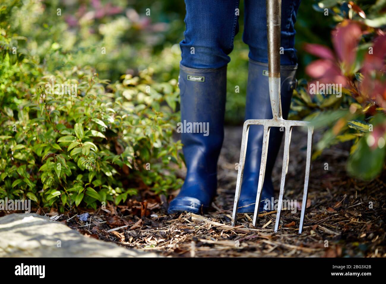 gardening wellies womens