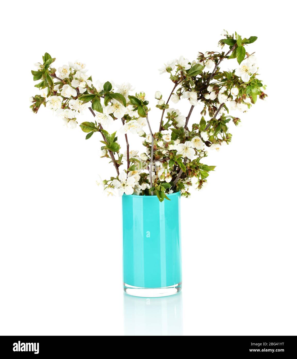 Flowering branches in vase isolated on white Stock Photo Alamy